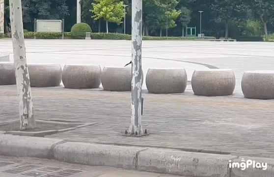 跳一跳 喜鹊版 