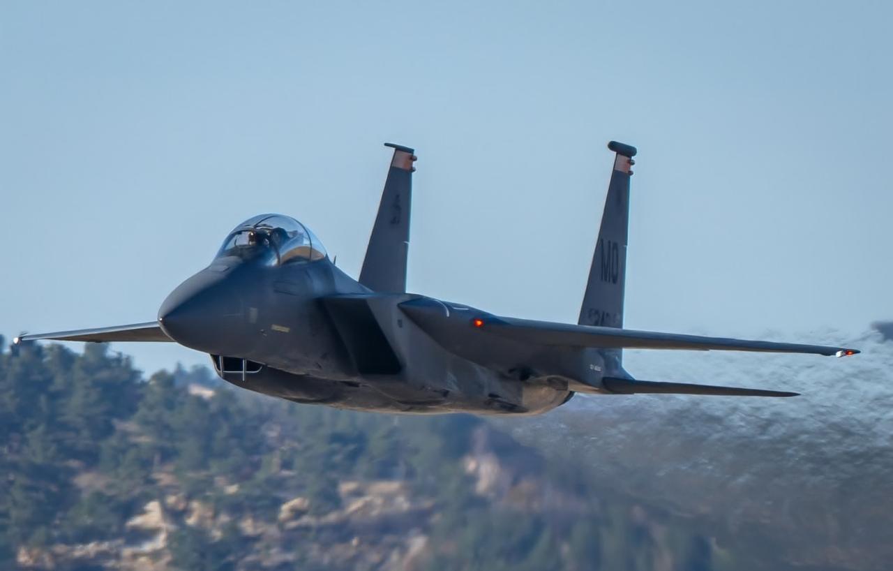 391st Fighter Squadron "Bold Tigers"旗下F-