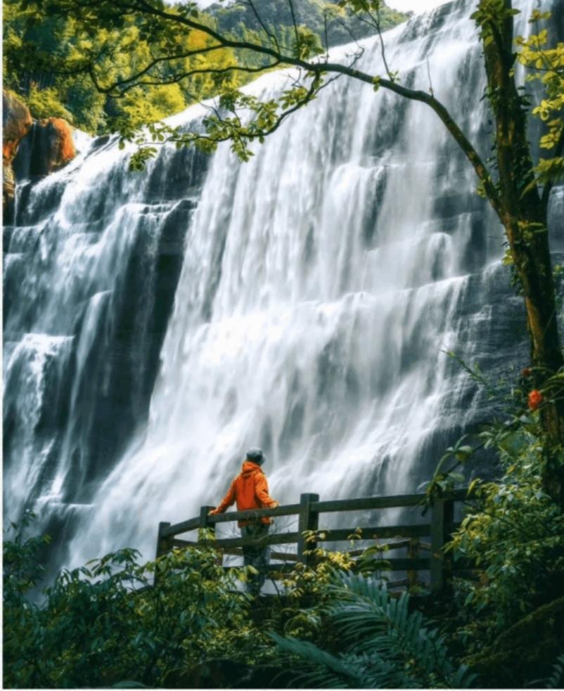 【自古多情愁别离，自古深情留不住；水满则溢，人满则傲，情满
则伤】
      