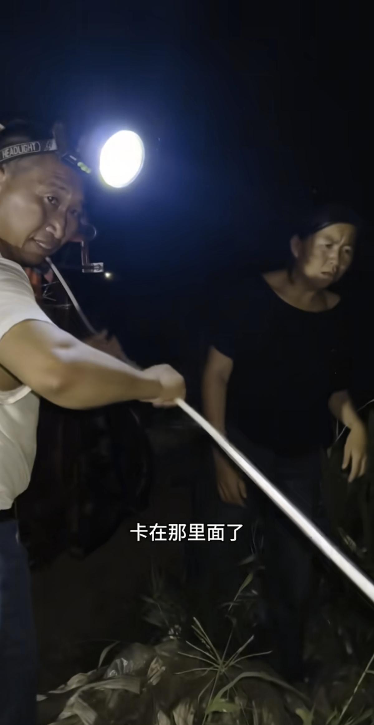 大王一个月前的甘蔗地，，，大王曾经带领全家劳动过的甘蔗地，现在长势怎么样？谁知道