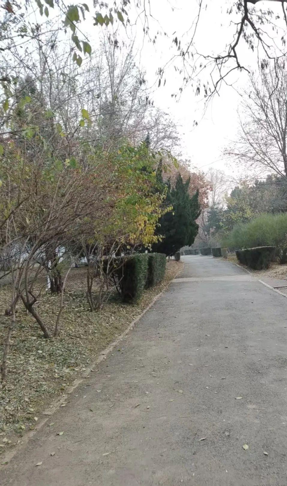 奉劝大家一定多做善事，因为你的善，总有一天会回馈到你自己或家人身上。

 这话听