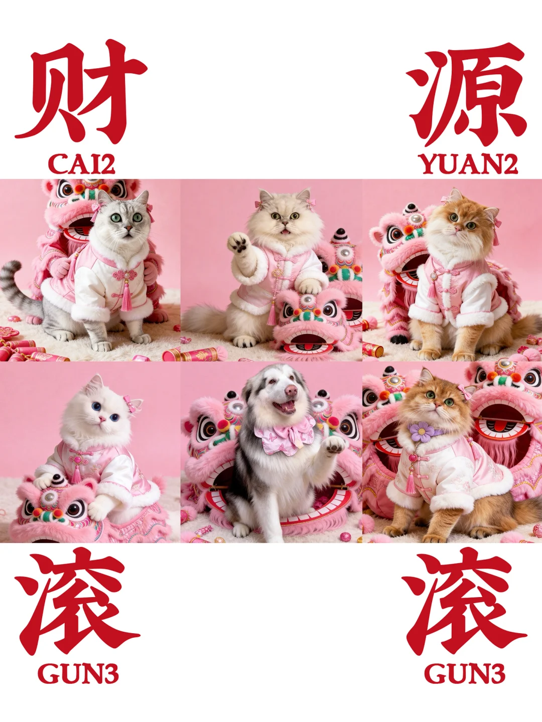 新的一年祝大家六六大顺🎊