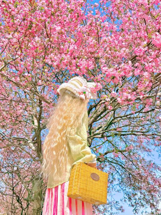 在南京🌸春天可以去的100个地方…live情侣版