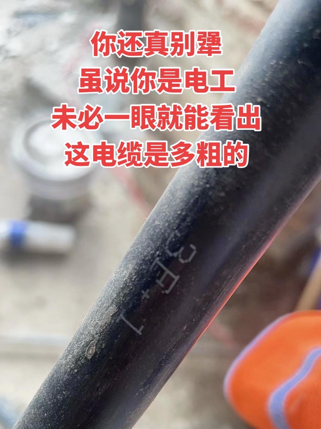你还真别犟，虽说你是电工，未必一眼就能看出这电缆有多粗！电工