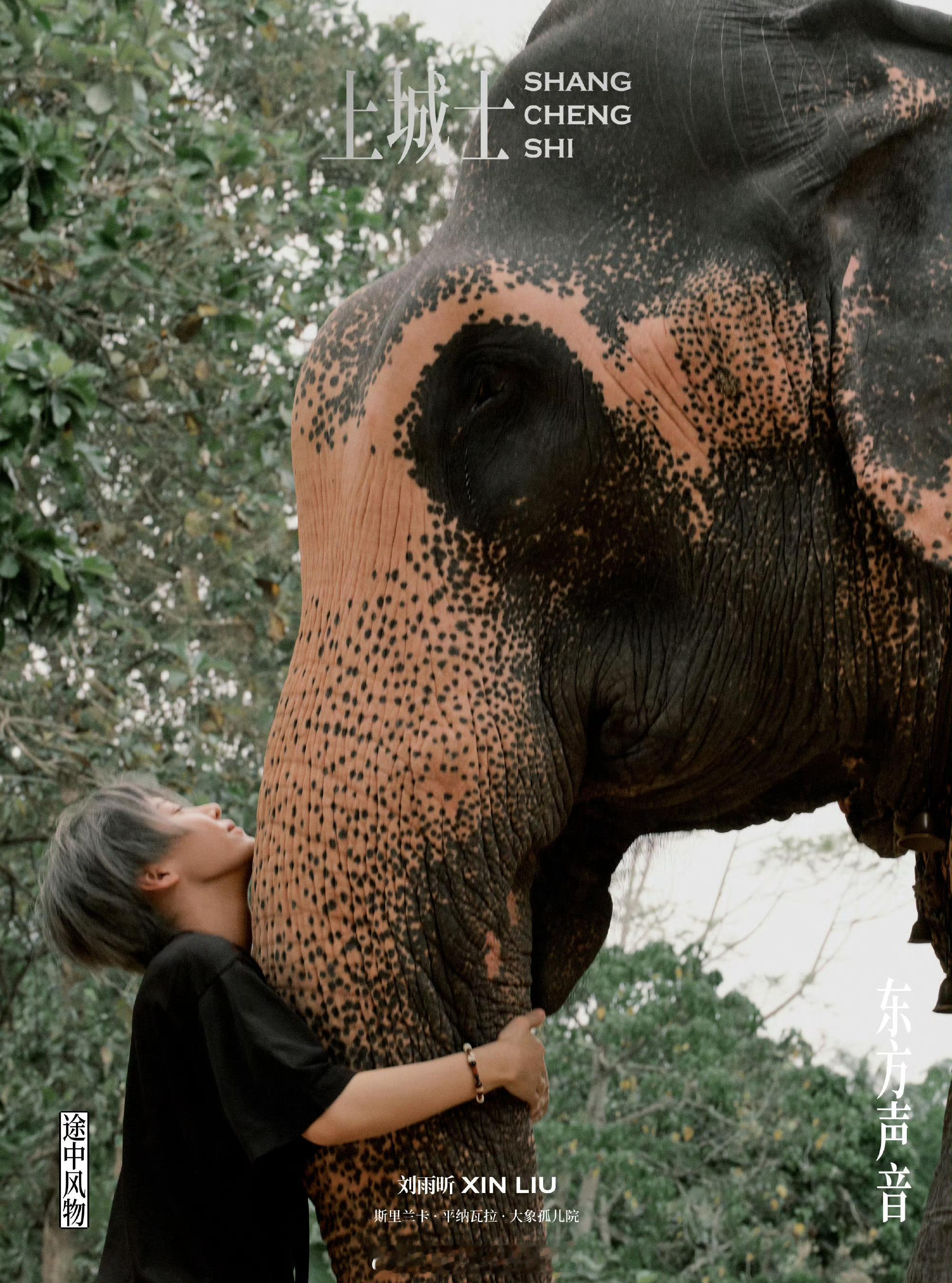 刘雨昕出镜上城士途中风物三月新刊封面，妥妥的时尚宠儿，每一张都很完美