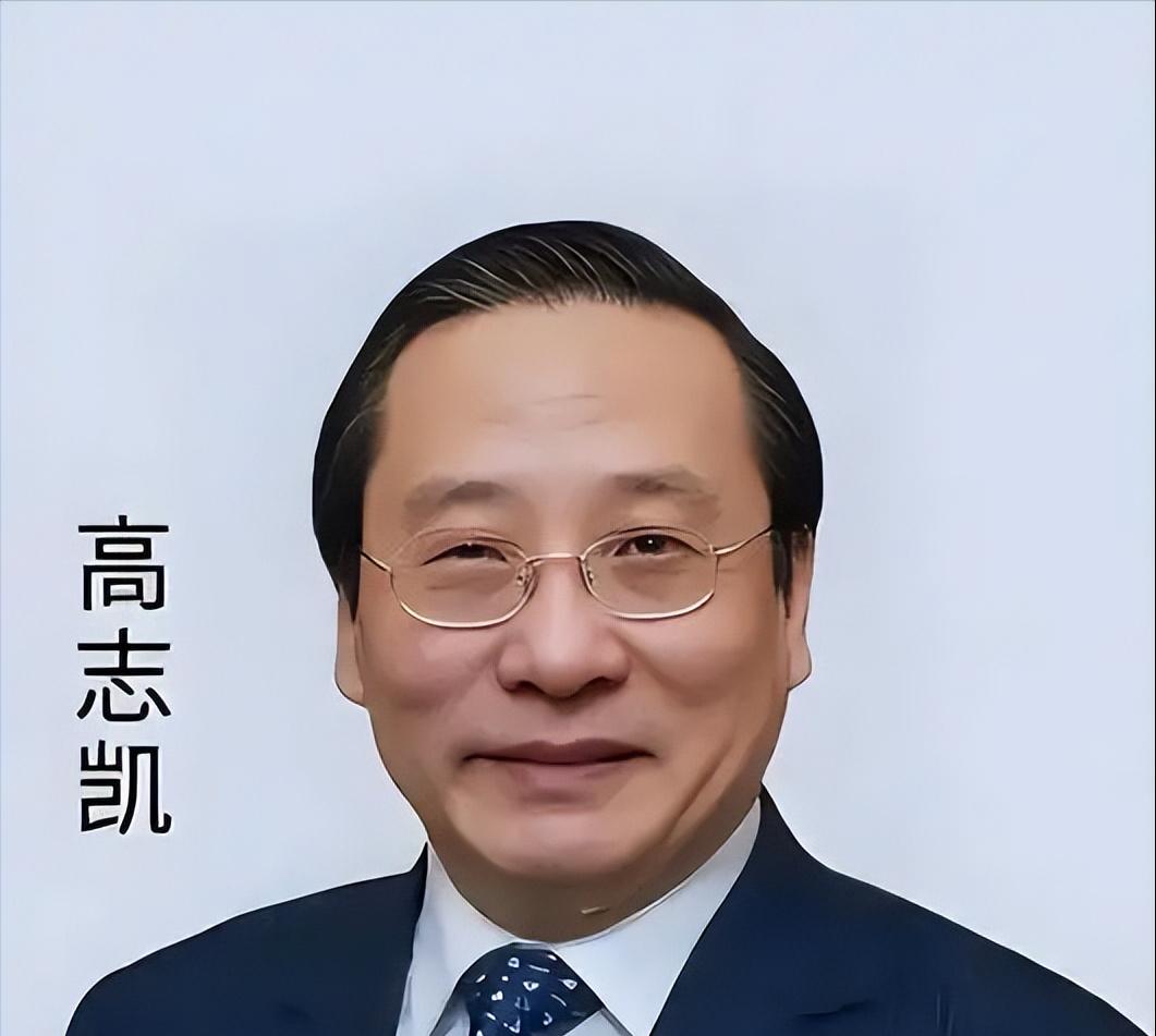很多人敬佩高志凯是 “为国为民的外交官”，但一个事实常被忽略：他已离开外交部近 
