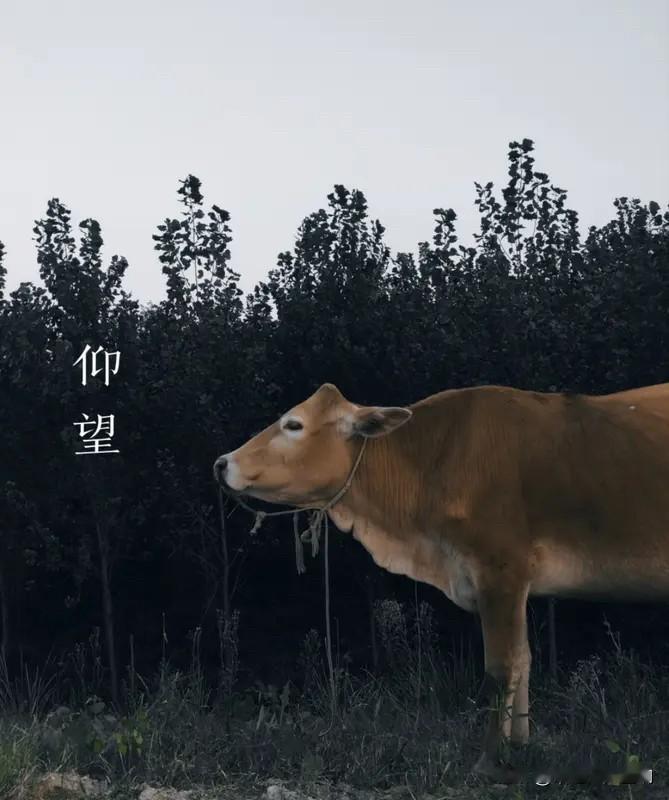 凡所有相，皆为虚妄！

应该怎么去理解这句话呢？

我们人其实所有五官六体感知到