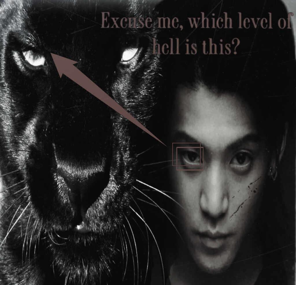 坚持小栗旬猫塑