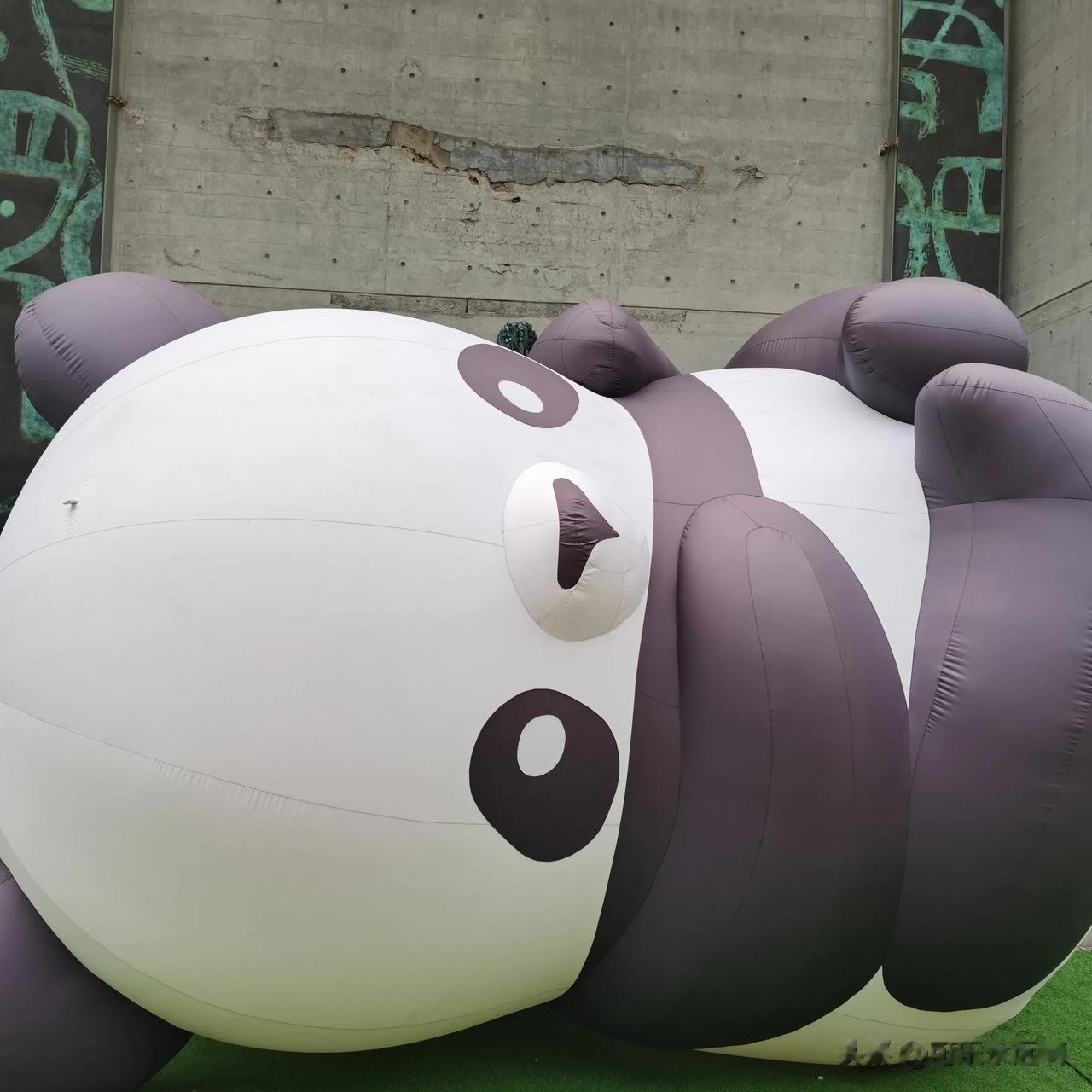  
目前，在北京韩美林艺术馆内，1864熊猫特展正在火热展出。为什么是1864只