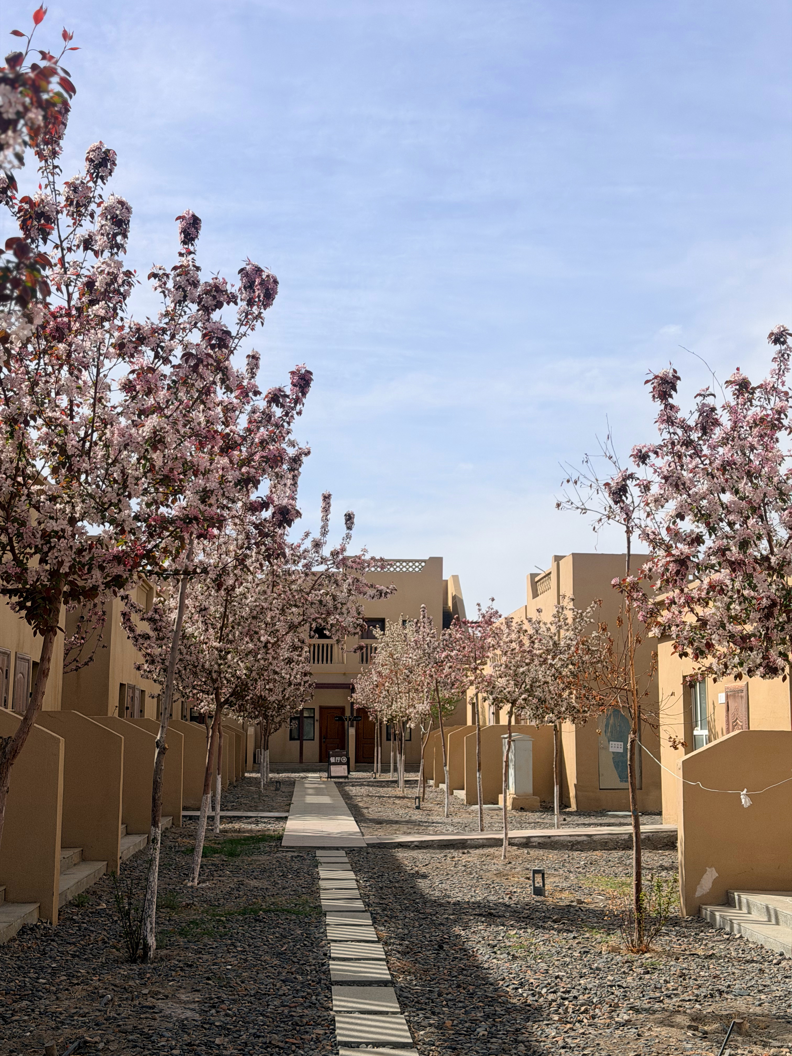 第一次来新疆我的日常plog新疆风光 克拉玛依