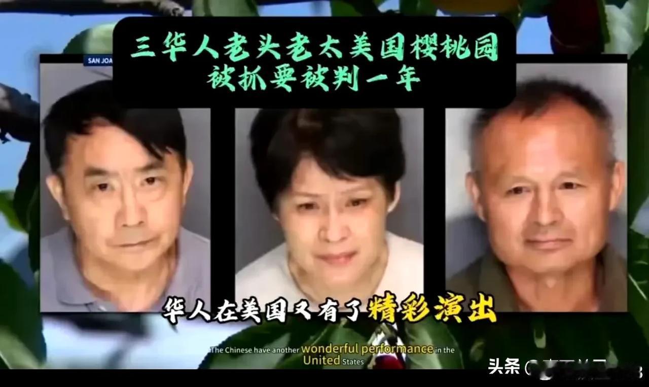美国加州，偷摘樱桃被捉的三位华人身份曝光。
3人两男一女，分别为64岁、62岁、