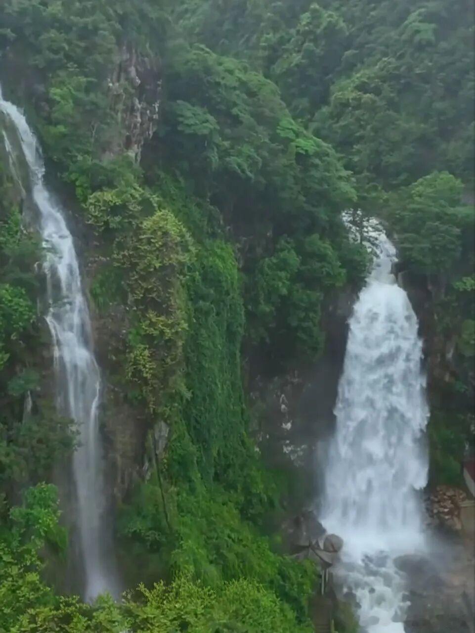 藏在浙南山间的云和，盛夏恒温 23℃，比城区凉爽不少，是江浙沪绝佳避暑地。山间荷