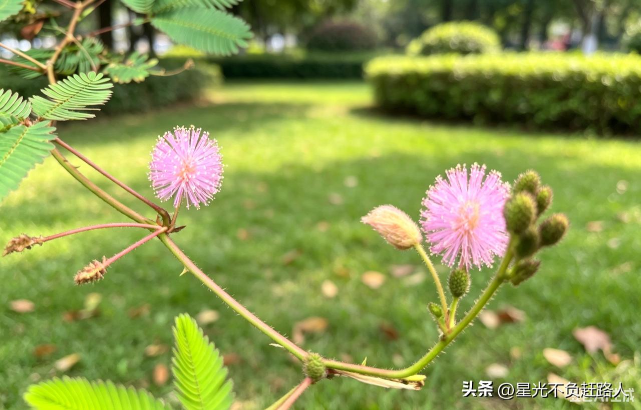 一个女人最大的心寒来自哪里？
我没有大手大脚花过你的钱，也从来没有要求你给我买过