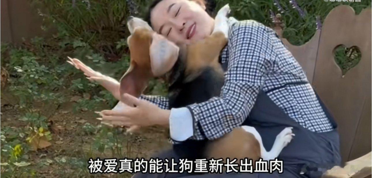霍思燕半夜起床为小狗美容被爱真的会让生命重新发光✨从实验犬到冠军犬，这背后是霍思