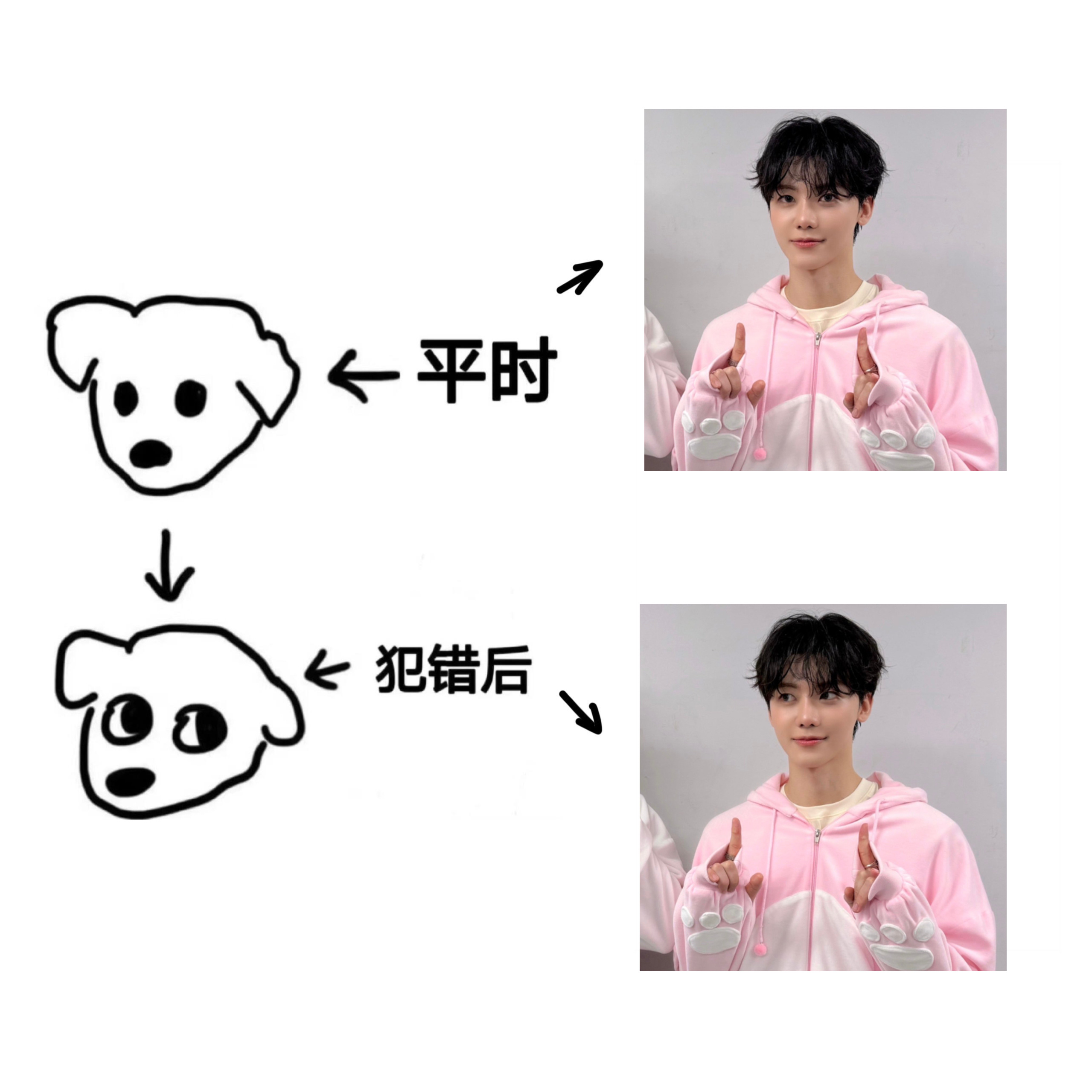 【tg】小狗犯错后的统一表情 