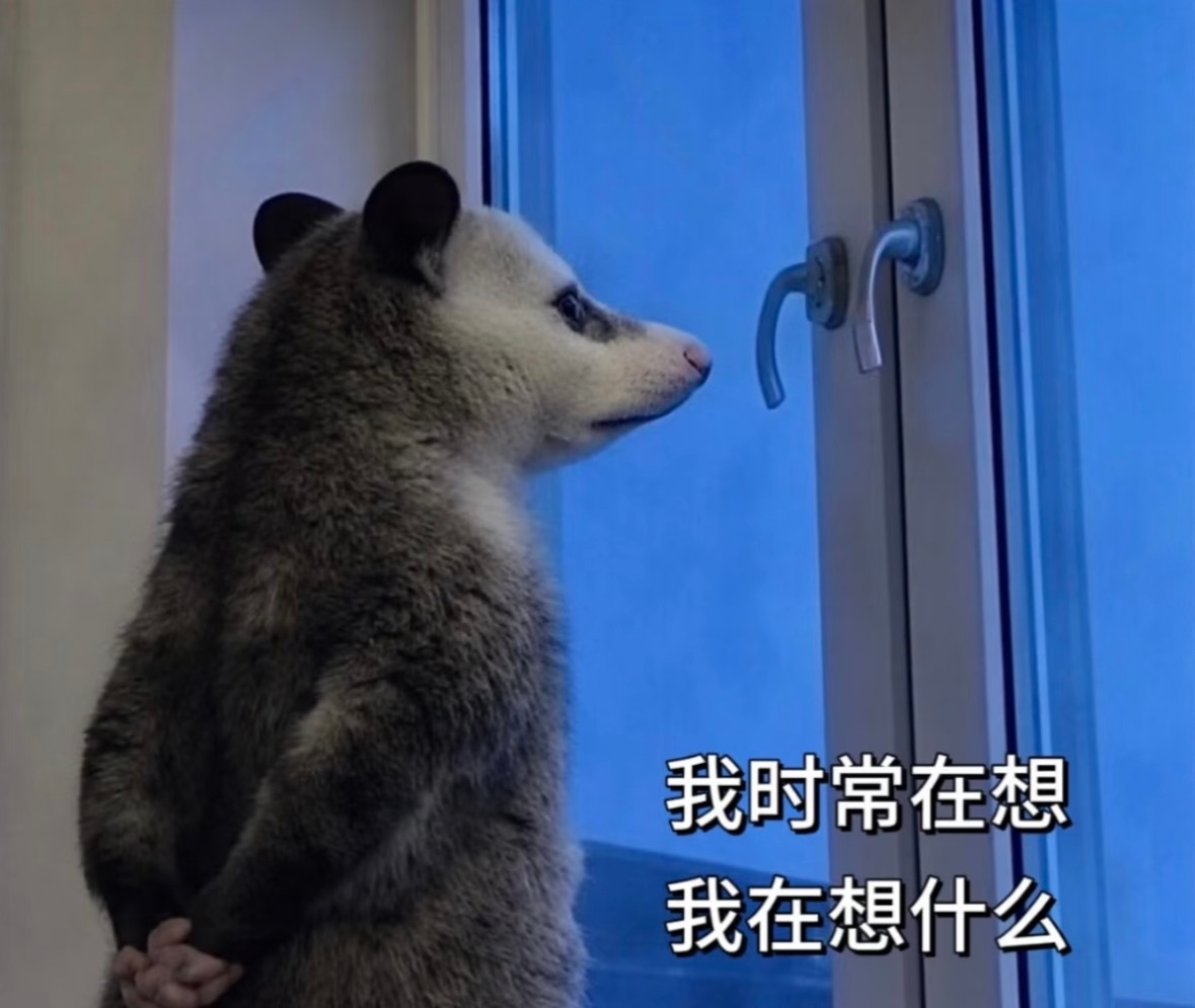 妹子最近估计恋上了负鼠这套梗图。。。太可爱了我闺女