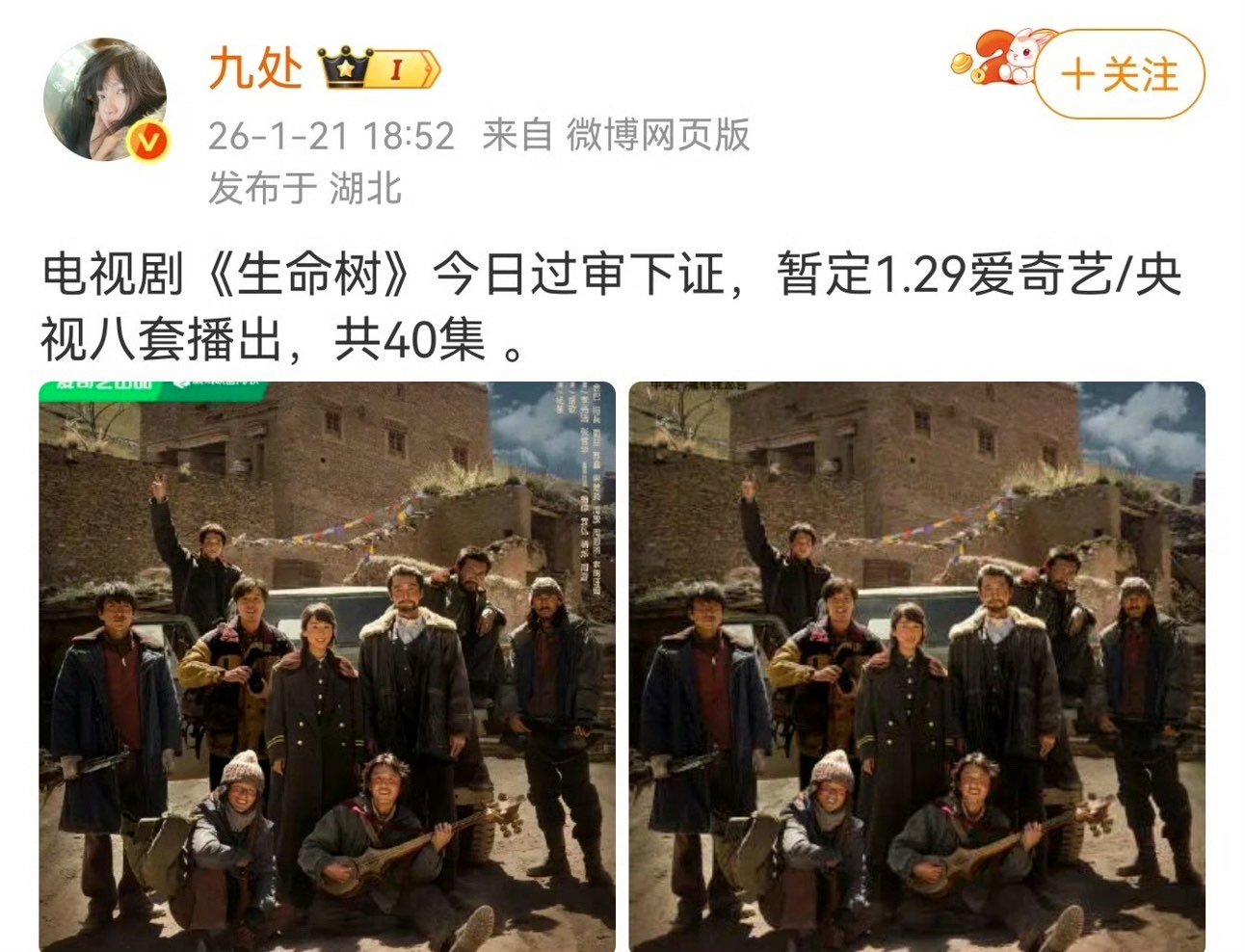 生命树今天过审下证生命树已过审下证生命树今天过审下证，静候这个生命树 