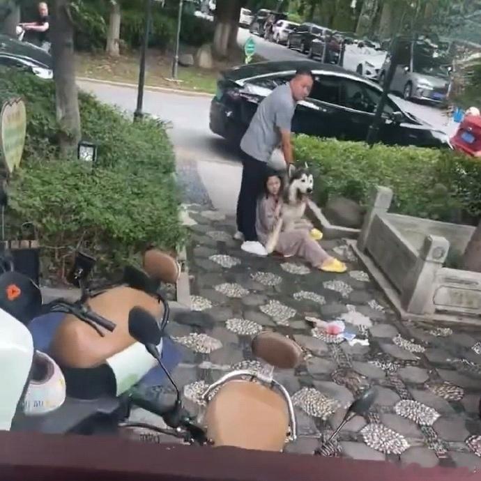 【苏州遛狗不拴绳咬伤两名幼童】8月22日，江苏苏州一小区内发生一起未拴绳中大型犬