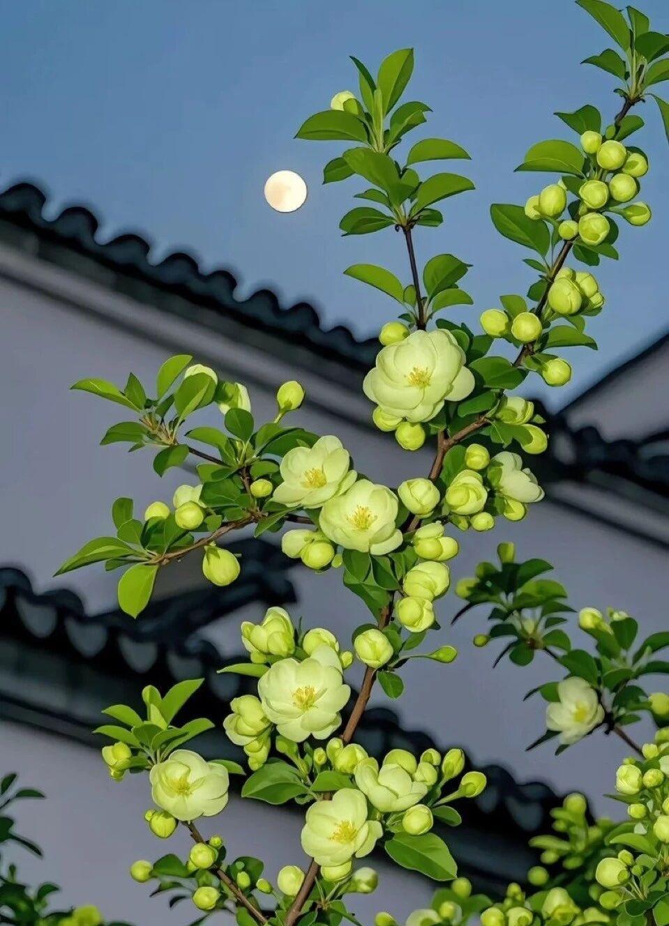 大家都知道原子内部几乎是虚空的，但它组成的物体却很实在。
就像我老婆生气的时候，