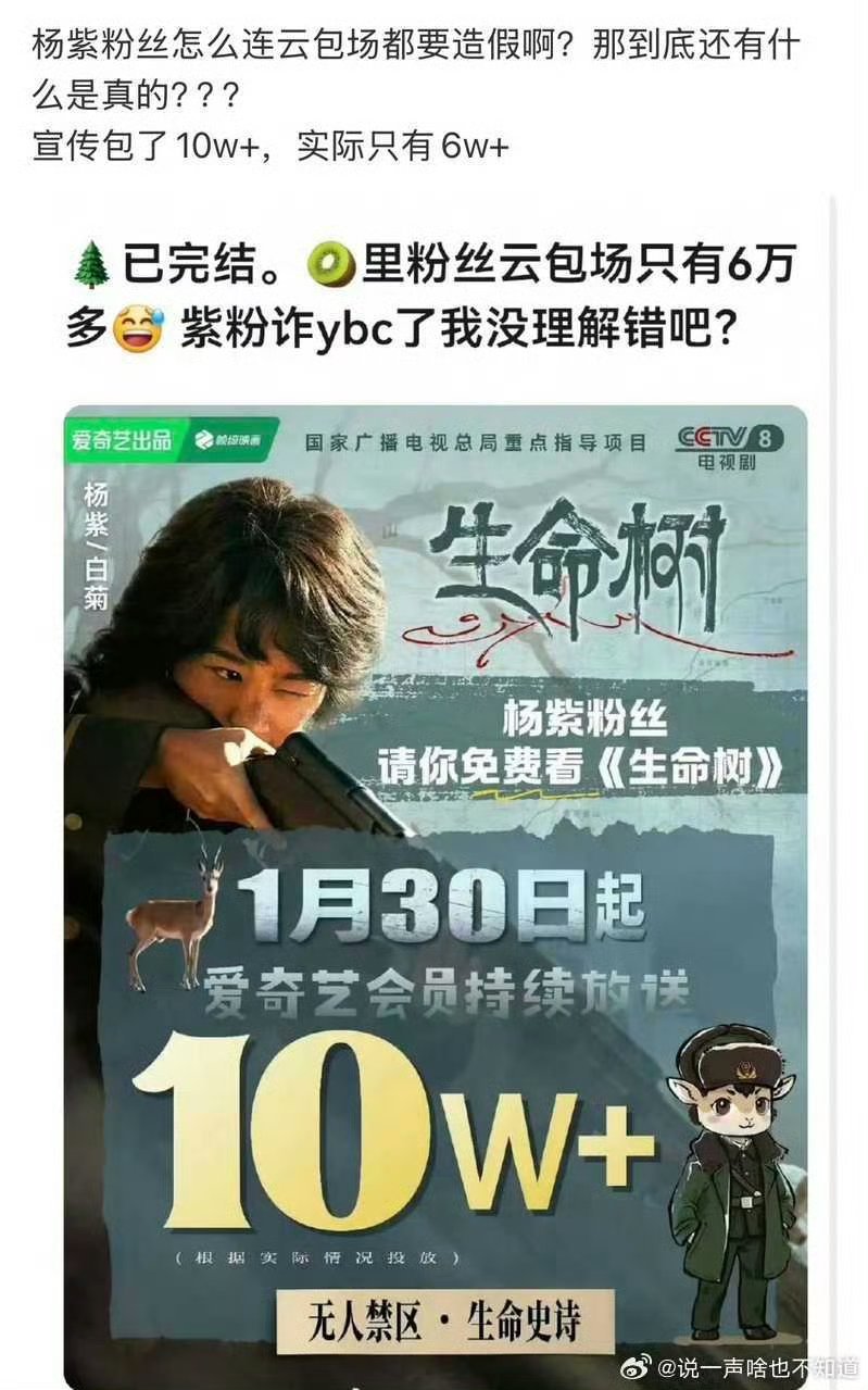 杨紫粉丝吹假币，从头到尾云包场只有六万，却到处欺骗观众说十万云包场。生命树台网双