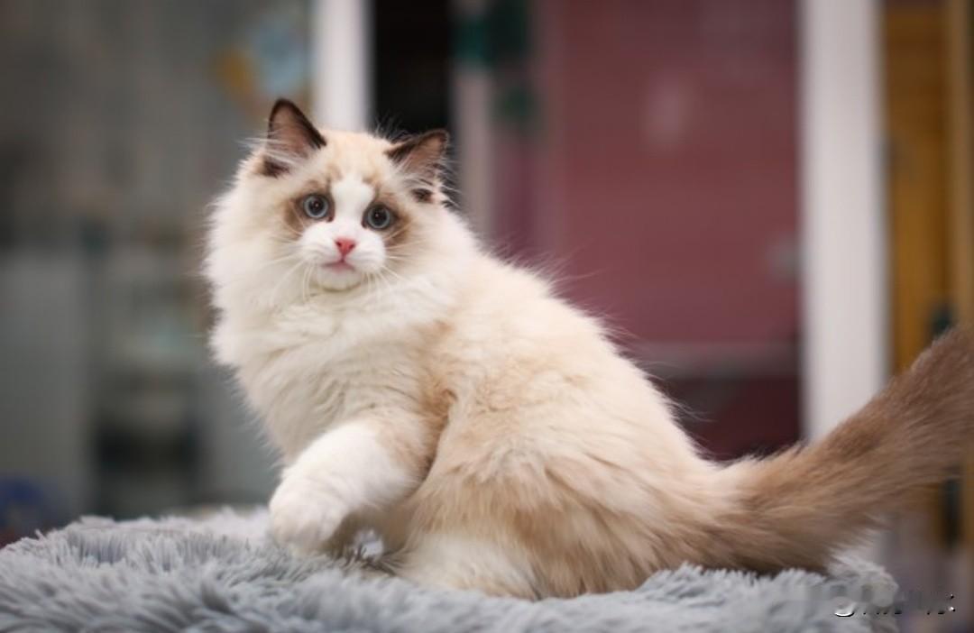 你发现没有，真正厉害的人是能安静，也能热闹，自己待着不孤单，跟人相处不浮躁。
