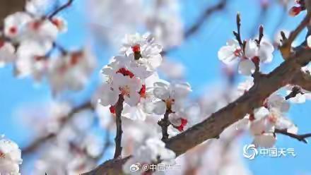 完整榜单
北京天空美成“宫崎骏动画”

近日，北京的天空频频登上热搜，网友们纷纷