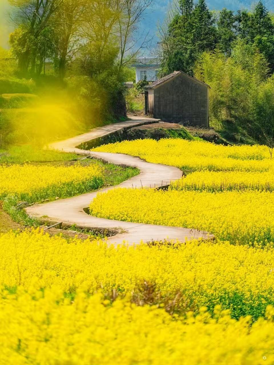 都说旅游不要去国外了。
外国有的，中国也有。
中国本身就是藏尽世间绝色的宝藏。