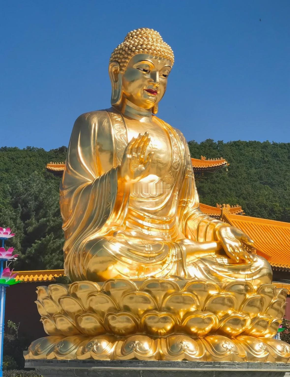 金辉遍洒，善缘自来✨有缘人接住一份长久顺遂。 ​​​