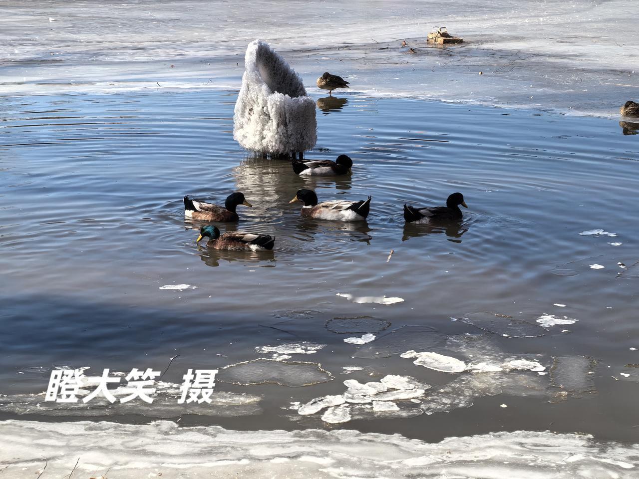 发一张图片，让我猜出你在哪里拍的这可有点难度啊……