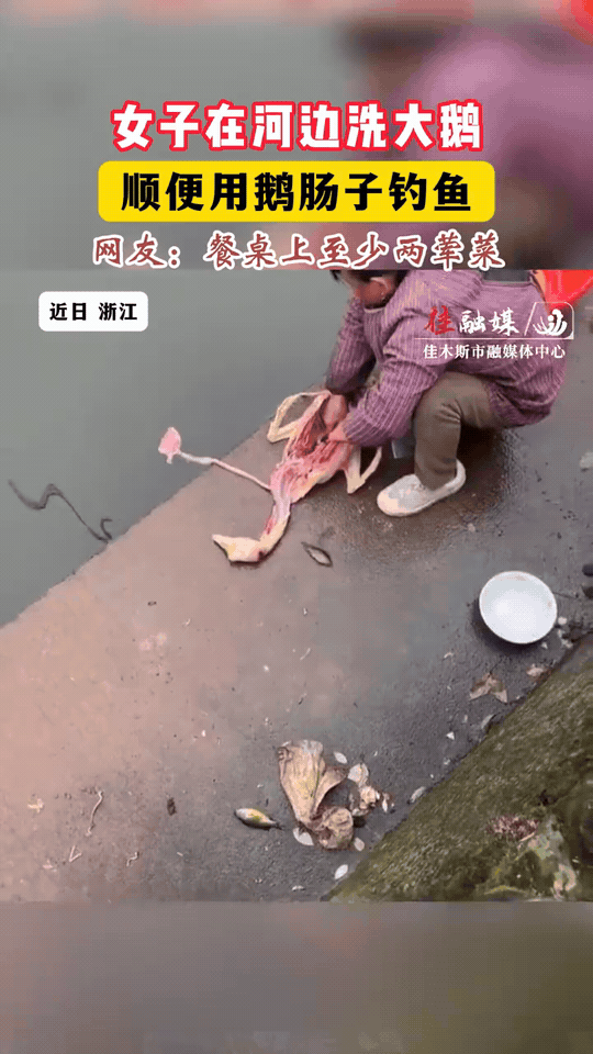 河边洗鹅秒变钓鱼现场！自带活饵双丰收，钓鱼佬看了都沉默
 
浙江一位大姐在河边清