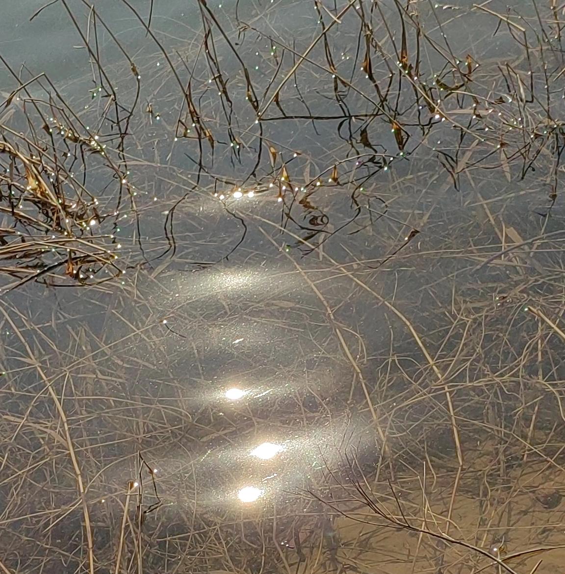 普通人炒黄金，趁黄金便宜买黄金意义不大，而且炒黄金赔了，是普通人无法承受的。
总