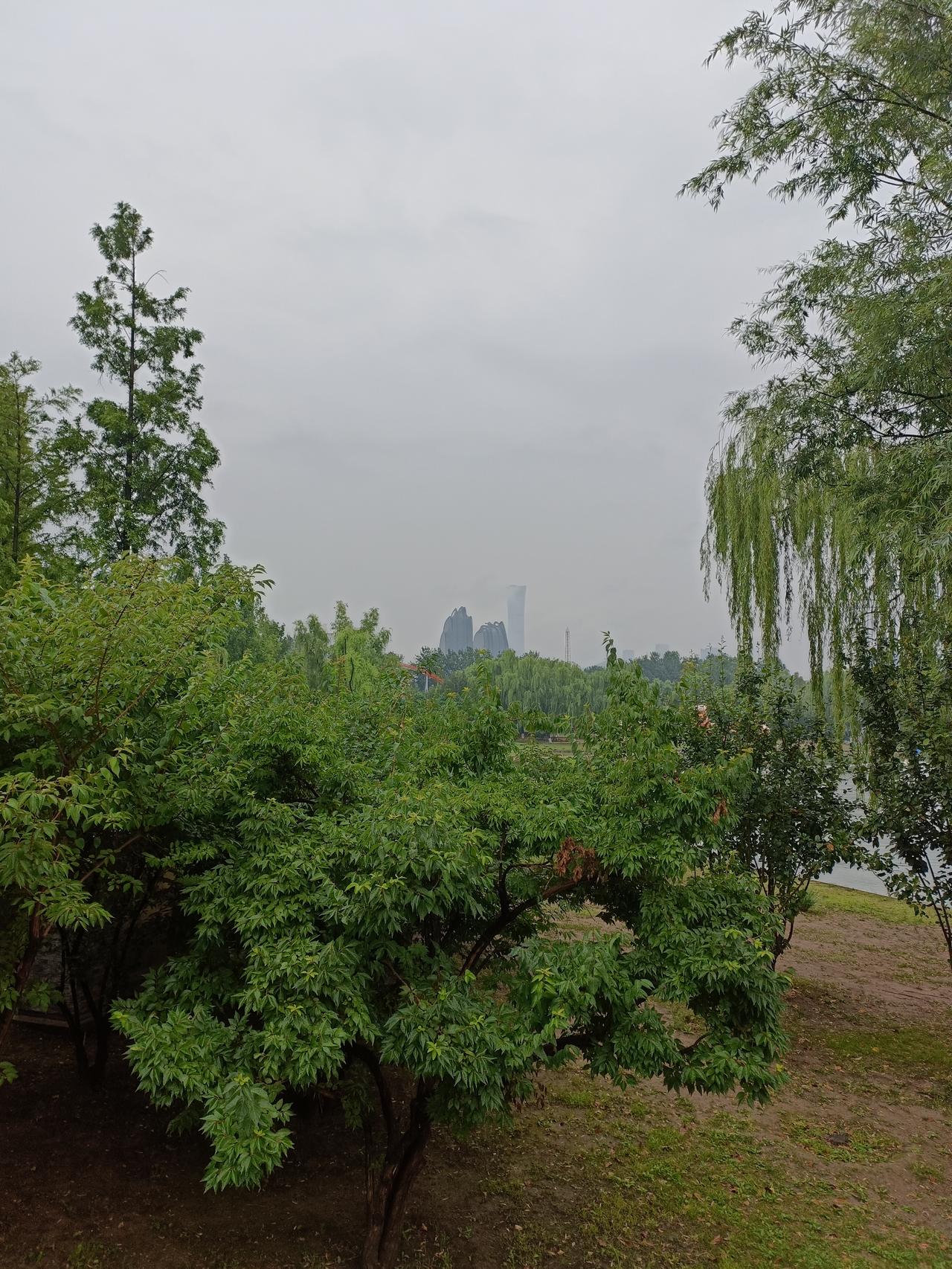 我超爱绿色，尤其是大自然里那绿意盎然的景象。夏日的绿，像一幅绚丽画卷。草木从嫩绿