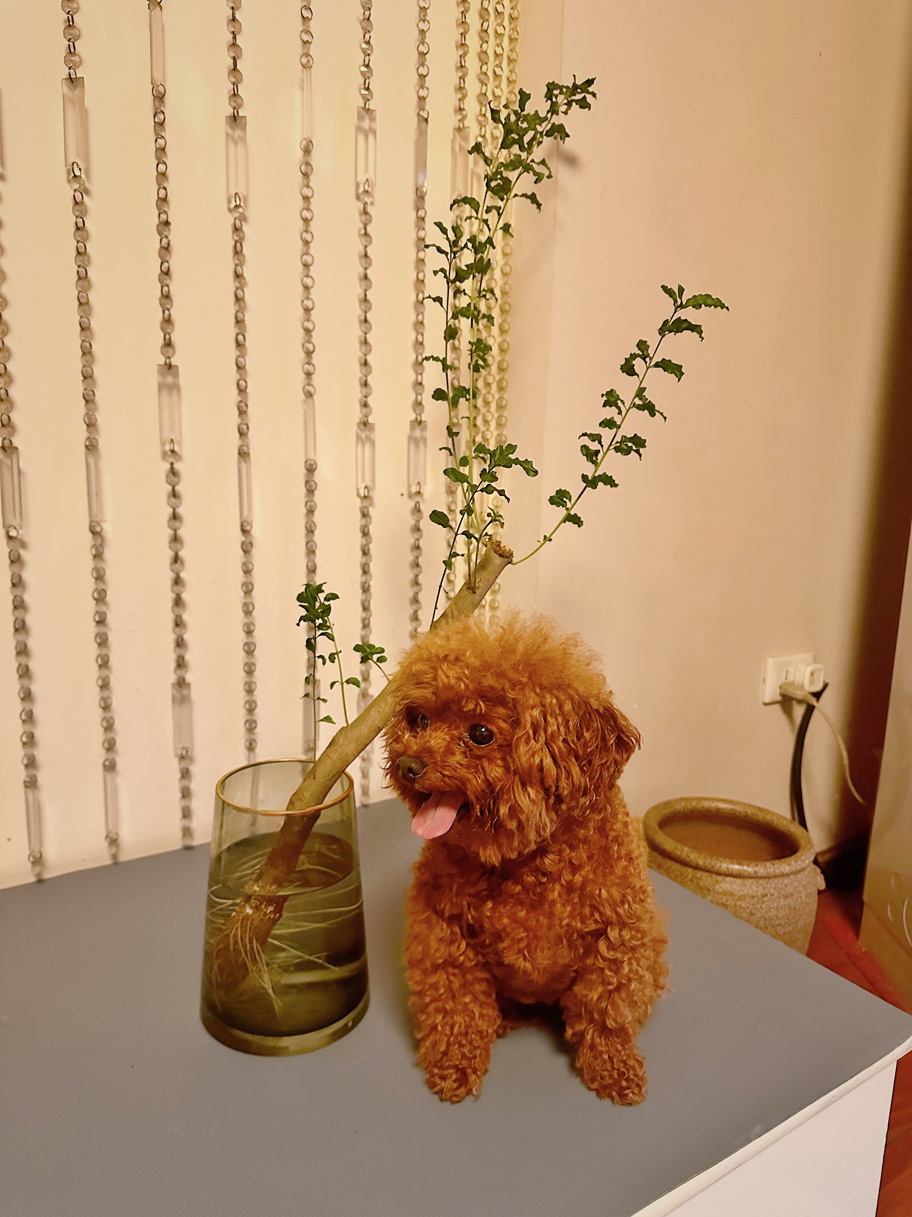 肖坚果  她好可爱啊！