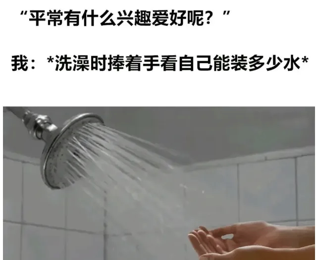 以为很小众的爱好meme ​​​