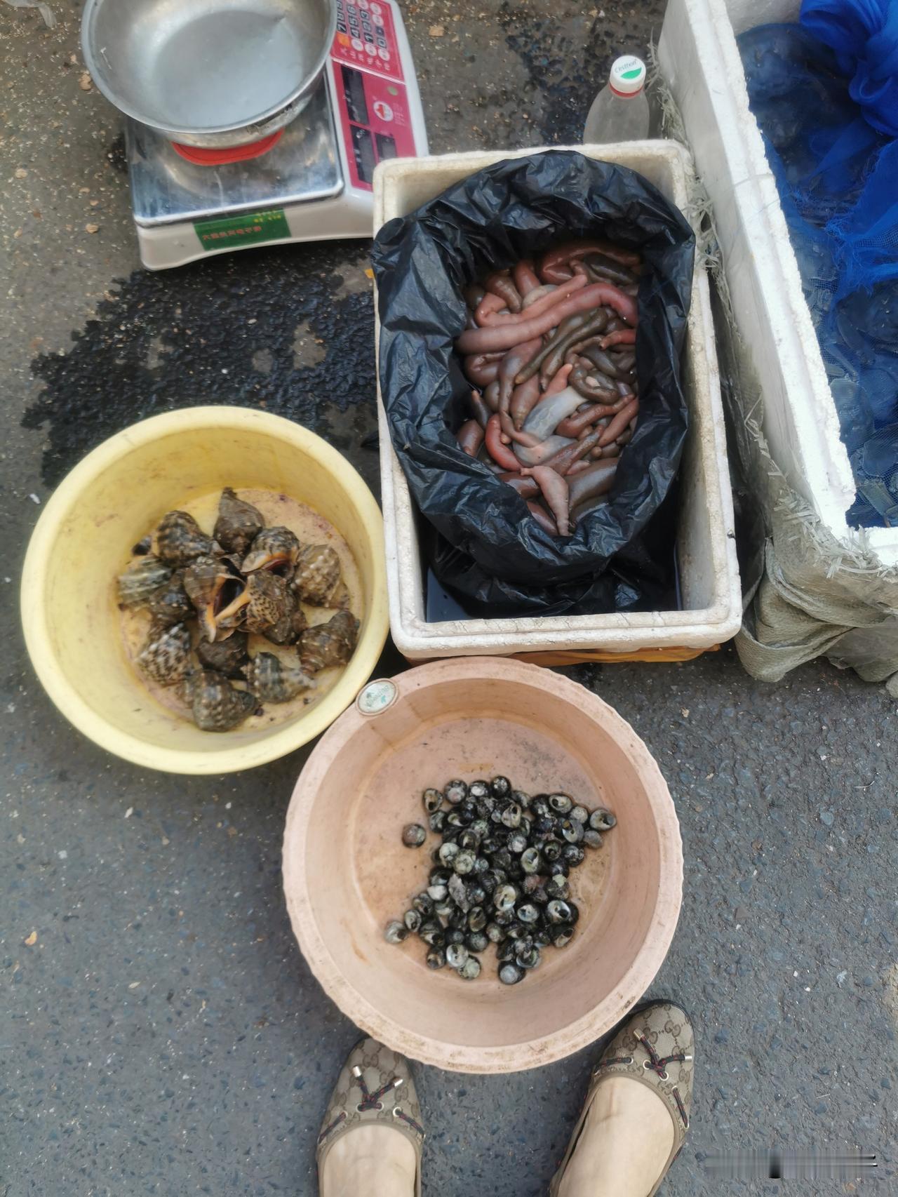 地摊小海鲜受欢迎！

其实我很喜欢三八广场新隆嘉超市门前摆地摊卖海鲜的小摊子！
