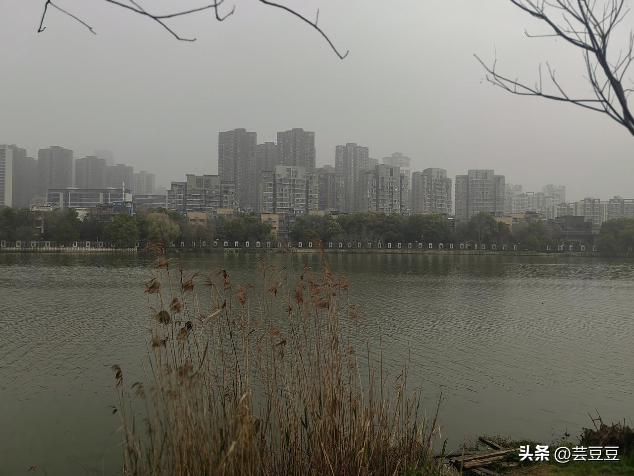 今天雨停了，去湖边跑了一圈，看到湖中间有两只野鸭在嬉戏，春天正式拉开序幕，真好！