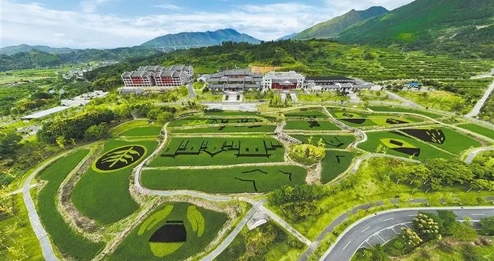 “半条被子”照见为民初心