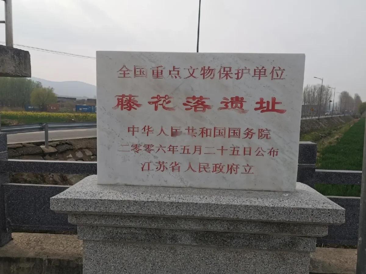 藤花落不仅是一座史前古城，更是东夷文明迈向量产化、社会化的关键物证。
作为典型的