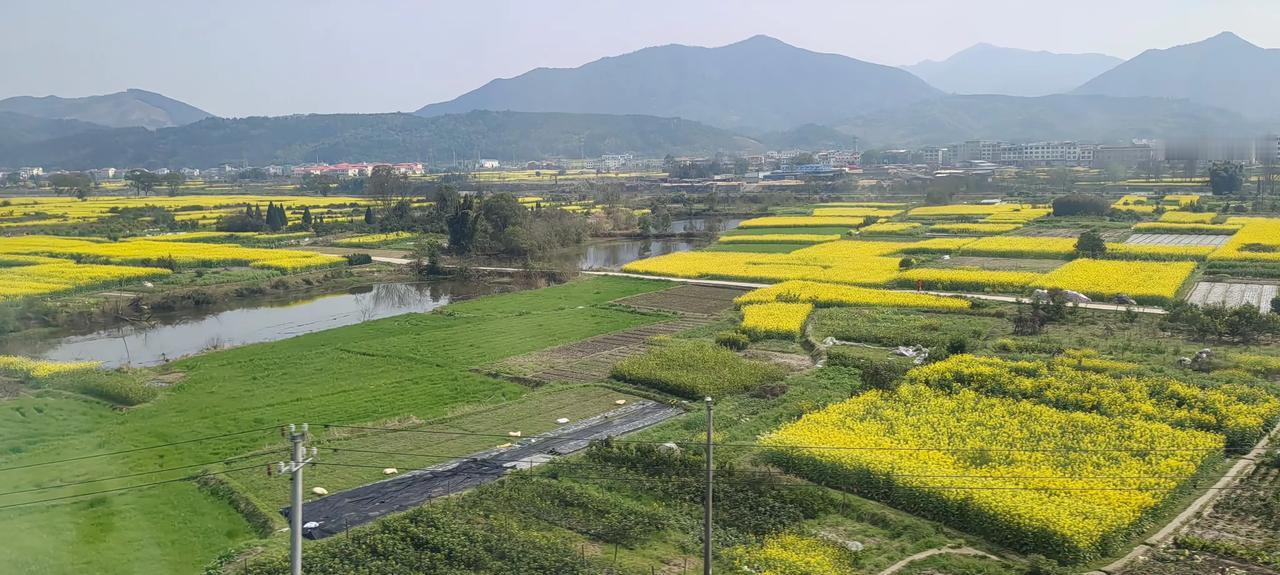 独属于春的稻田春天乡景