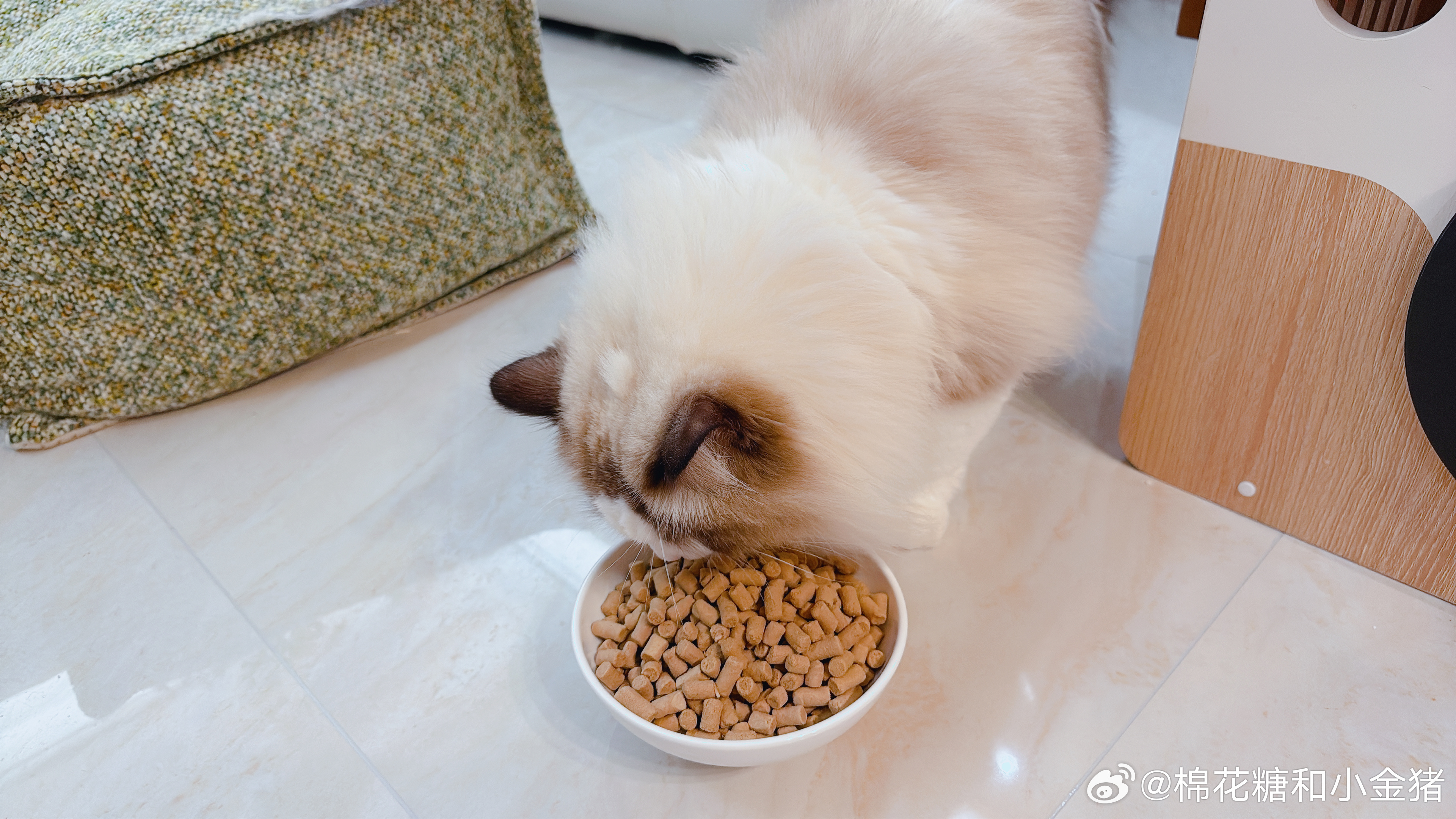 吃饭～吃饭～ ​​​