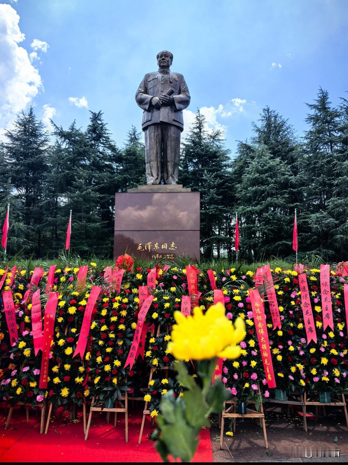 分享我这周有趣的事：元旦刚从韶山回来，越想越觉得“怪”！几万人挤在景区，居然连句