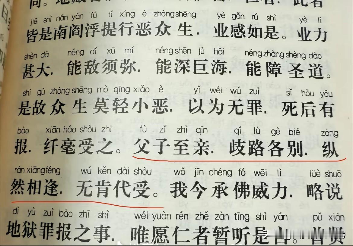 来自《地藏经》第五品里一句话：父子至亲，歧路各别，纵然相逢，无肯代受。父母子女，