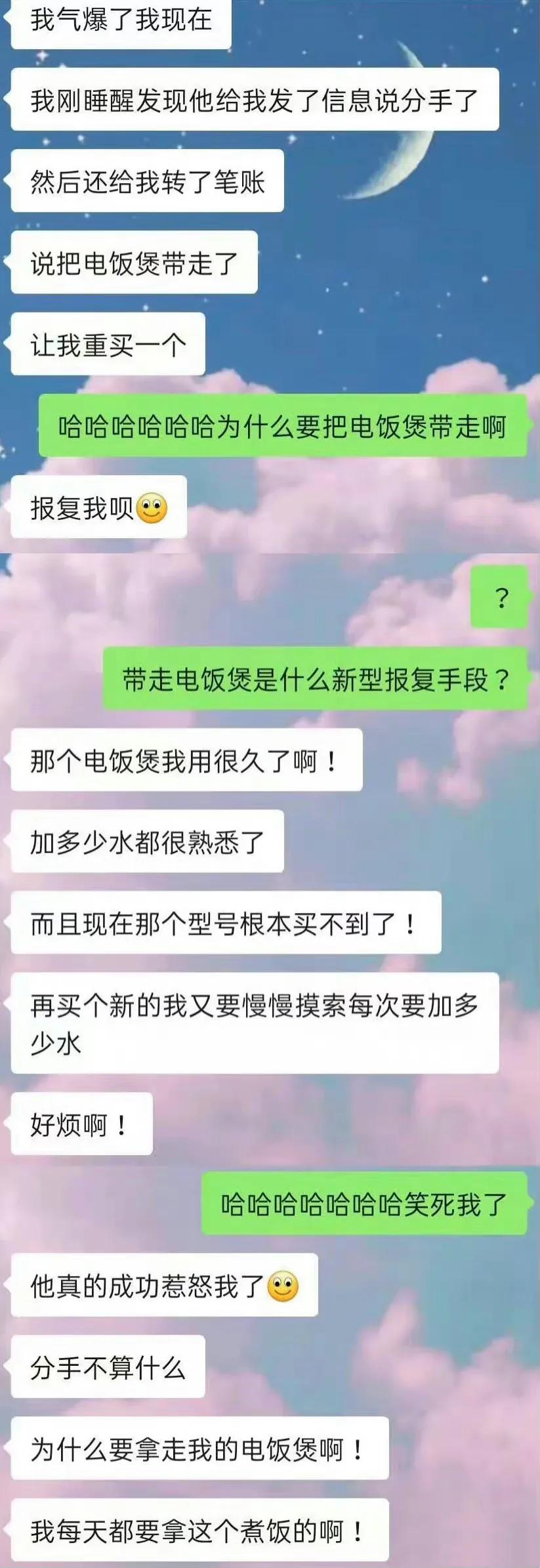 哈哈哈哈哈哈哈哈哈哈哈
见过分手偷狗的
没见过分手带电饭煲的