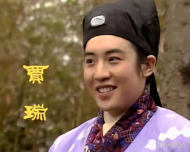 他屡次骚扰堂嫂王熙凤，被凤姐设计冻了整夜、遭贾蓉贾蔷泼粪勒索，身心受创染下重病 
