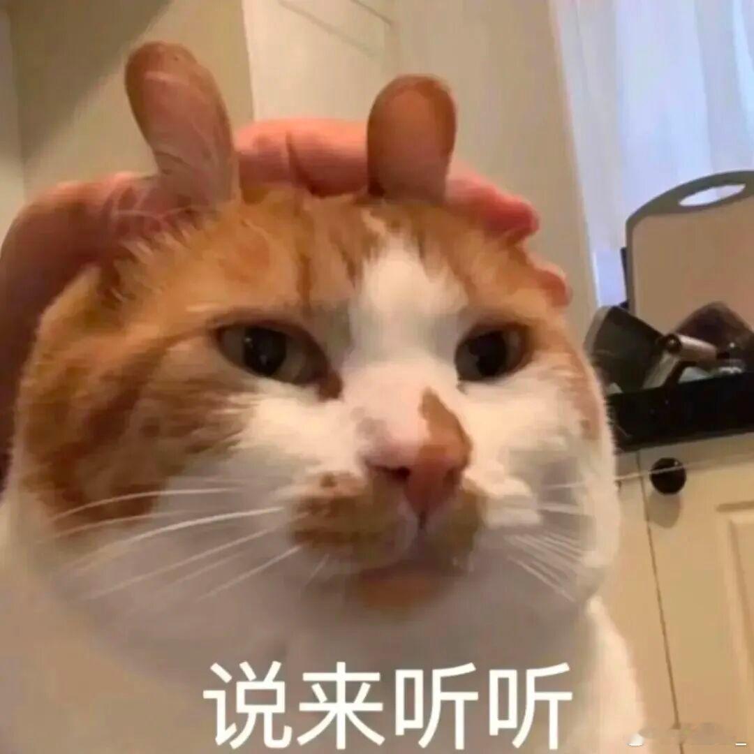 这功能有啥用不是很懂微信朋友圈有扣扣空间那味儿了微信状态 访客记录汉堡杨 福州