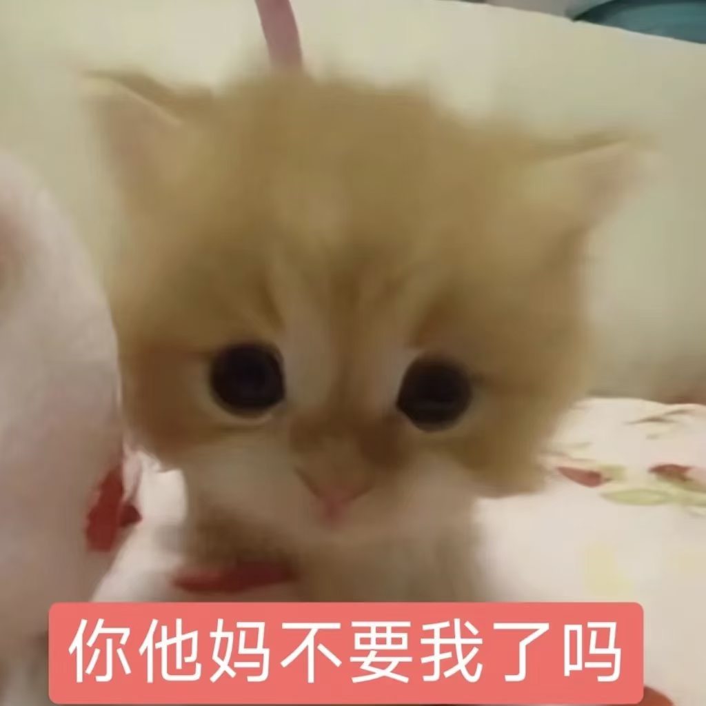 某团子  好无聊 