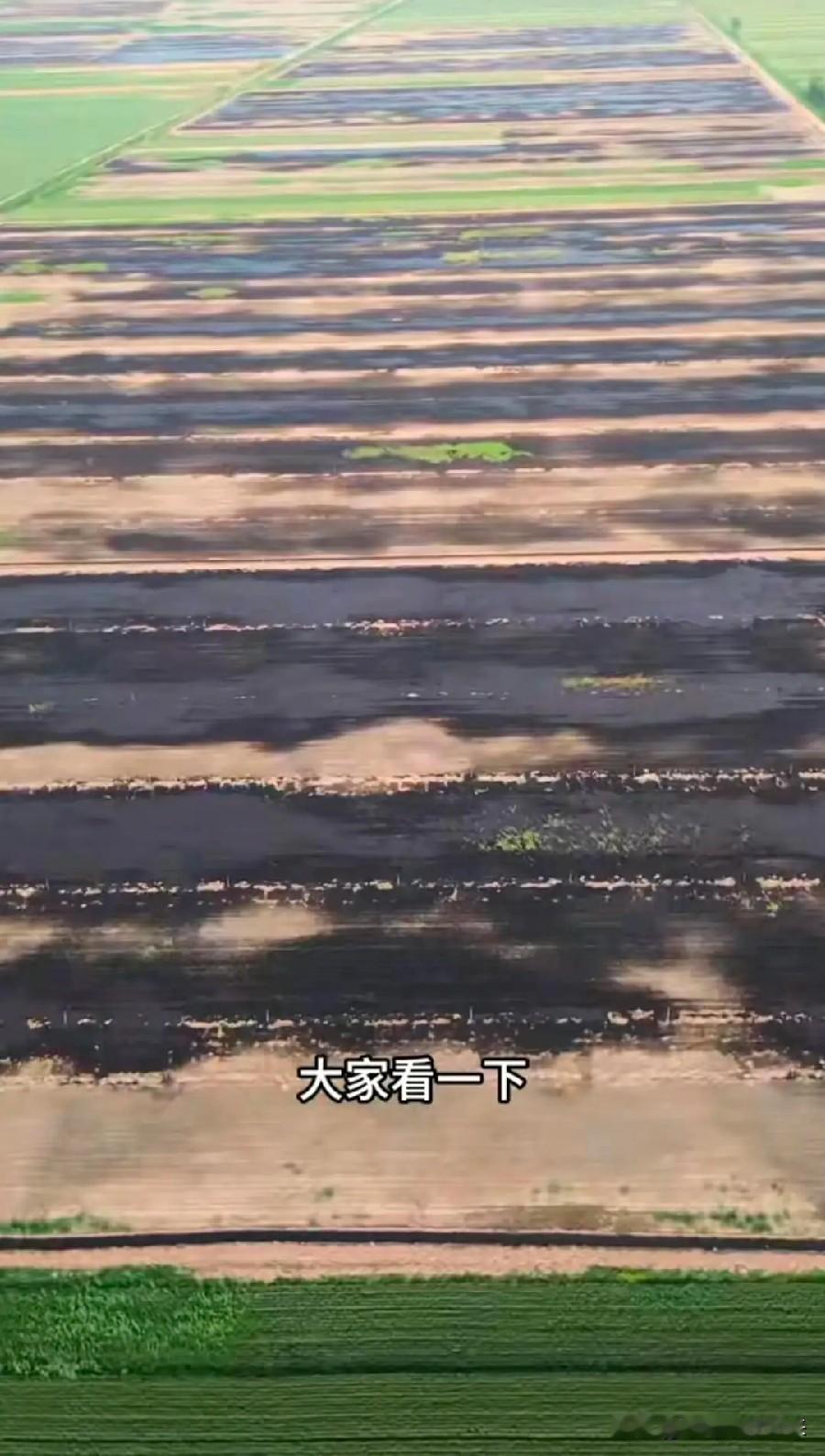 5月12日，有网友发视频爆料：山东菏泽大片农田被黑色污水覆盖，田间沟渠里灌满了漆