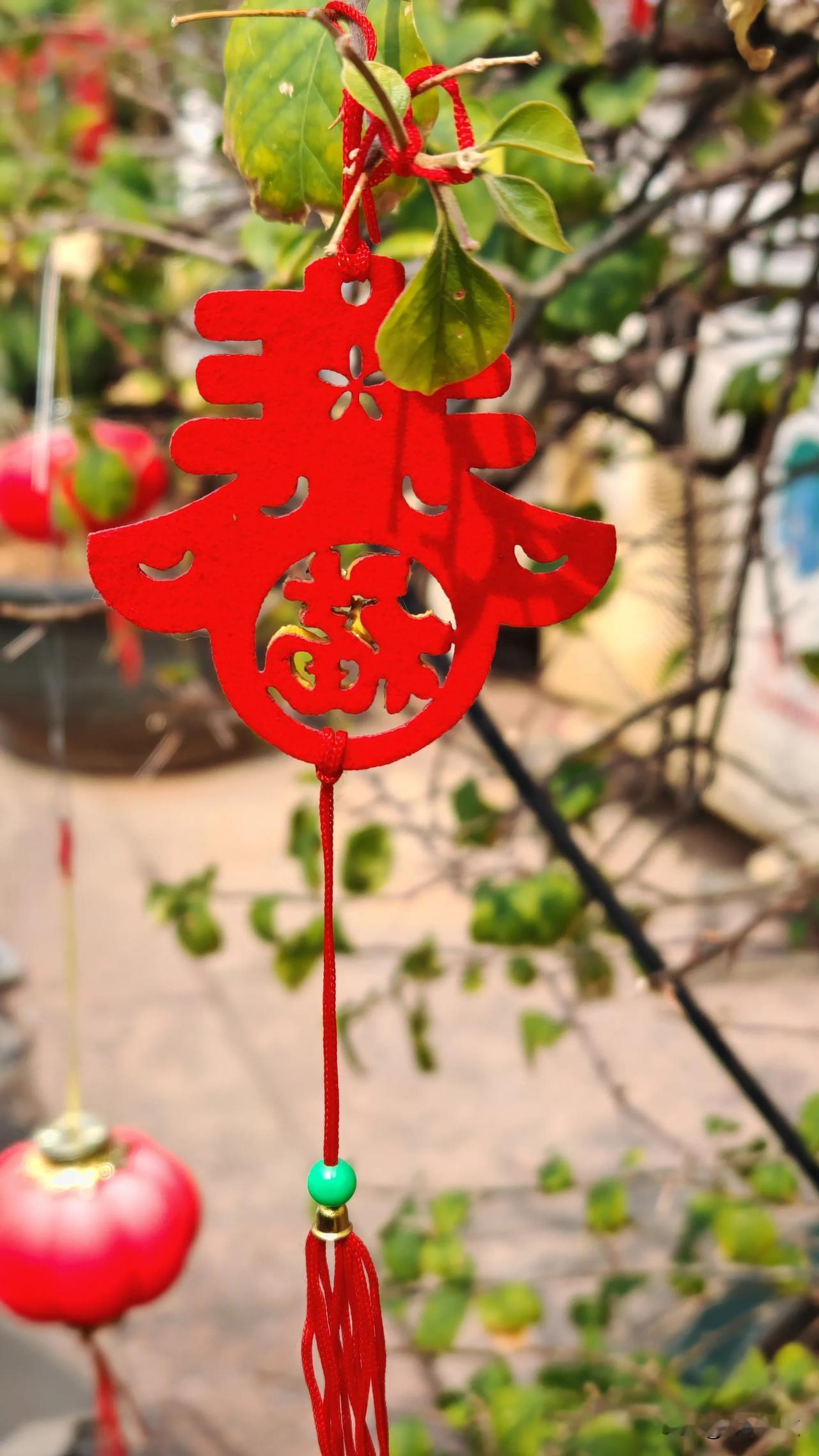 春暖花开，福满人间（2025年2月19日拍摄于岑溪）
