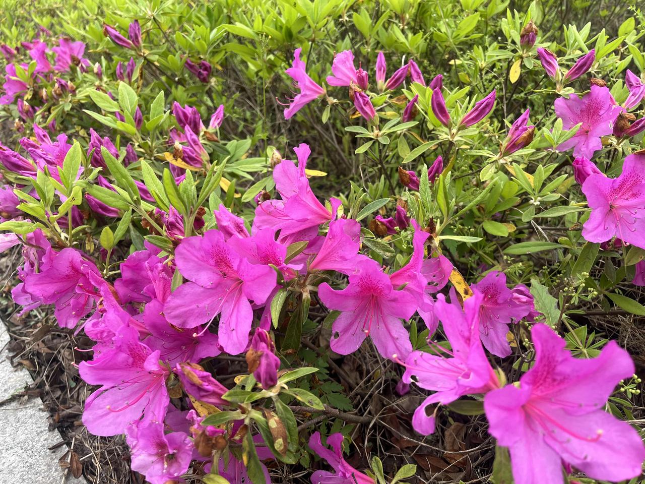 养生三句半：天大的事，睡一觉再说！

年纪大了才明白，生气是拿别人的错，折腾自己