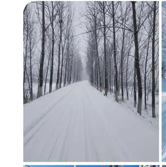 冬天来了，春天还会远吗？
人生，没有哪个冬天不可逾越！